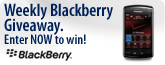 Weekly Blackberry Giveaway