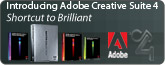 Introducing Adobe Creative Suite 4