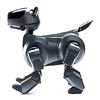 AIBO  with its own emotions and instincts  learns and grows through human interaction and from its environment.