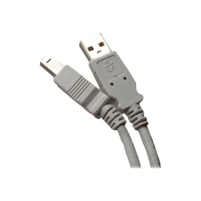 Professional Cable USB 10 USB 10 USB cable USB Type B M to USB M USB 2.0 10 ft gray