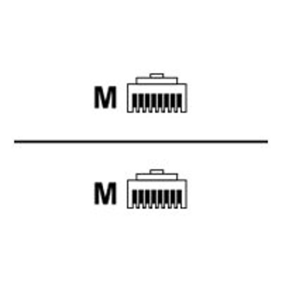 Black Box C6PC70-GY-04 GigaTrue 3 - Patch cable - RJ-45 (M) to RJ-45 (M) - 4 ft - UTP - CAT 6 - molded stranded - gray Black Box C6PC70-GY-04 GigaTrue 3 - Patch cable - RJ-45 (M) to RJ-45 (M) - 4 ft - UTP - CAT 6 - molded stranded - gray
