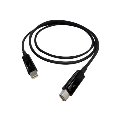 QNAP CAB TBT20M Thunderbolt cable Mini DisplayPort M to Mini DisplayPort M 6.6 ft