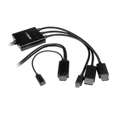 StarTech.com DPMDPHD2HD 2m 6 ft HDMI DisplayPort or Mini DisplayPort to HDMI Converter Cable HDMI DP or Mini DP to HDMI Adapter Cable