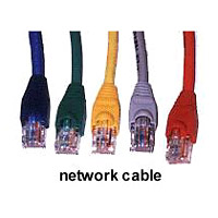 network cable - 10 ft