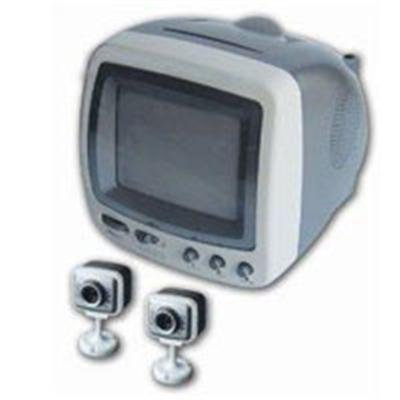 Q-See Security B&W Monitor with 2 Cameras