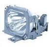 Replacement Lamp for PGB10S