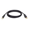 15FT USB 2.0 CERTIFIED-GOLD CABLE USBA