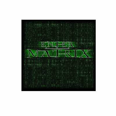Enter the Matrix  PC Game