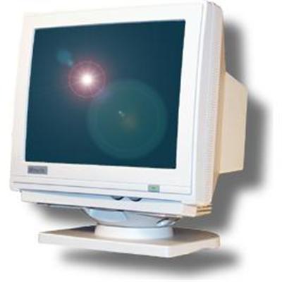 VGA Monochrime Monitor