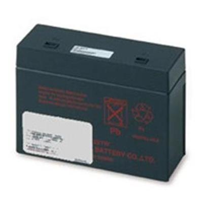 REPLACEMENT BATTERY CARTRIDGE #21
