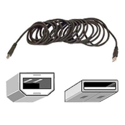 10 Foot Pro Series Hi-Speed USB 2.0 A-B Device Cable - Connect your computer to your printer and other peripherals computers and software on sale