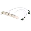 USB Dual Port Motherboard Cable