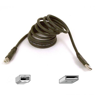 Belkin F3U133-06 6 Ft Pro Series Hi-Speed USB 2.0 Cable Belkin F3U133-06 6 Ft Pro Series Hi-Speed USB 2.0 Cable
