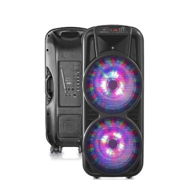 Technical Pro PSHAKE3000 Double 12 Two-Way Bluetooth LED Loudspeaker Technical Pro PSHAKE3000 Double 12 Two-Way Bluetooth LED Loudspeaker