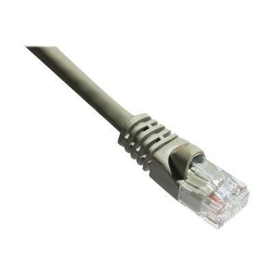 Axiom Memory AXG94365 Patch cable RJ 45 M to RJ 45 M 100 ft UTP CAT 6 molded snagless stranded gray