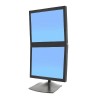 DS100 Dual-Monitor Desk Stand  Vertical - Black