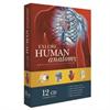 Human 3d Professional Edition - 12 Cd Se