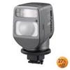 Combination Video Light and Flash