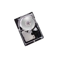 Atlas 15K II 36.7 GB Internal SCSI Hard Drive