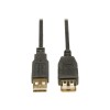 10ft USB AA 2.0 Gold Extension Cable