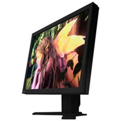 21.3 FlexScan LCD Monitor