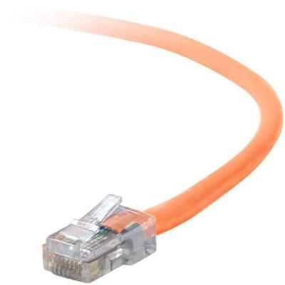 network cable - 98 ft