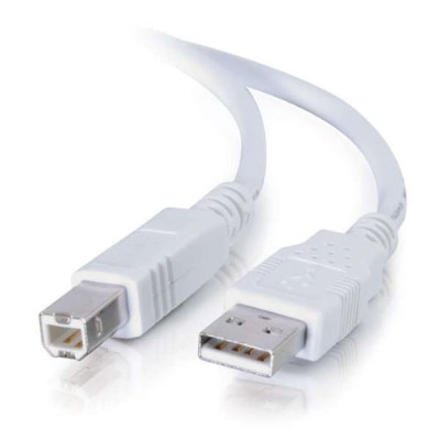 Cables To Go 13172 USB 2.0 A B Cable 2 Meters