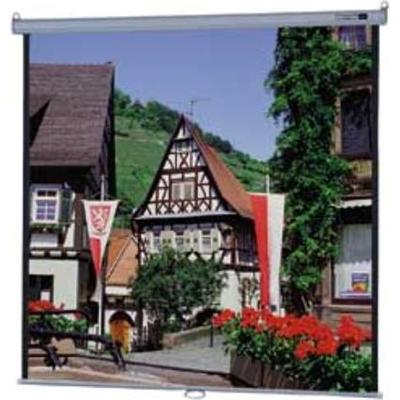 100 Model B Projector Screen