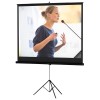 70 x 70 Versatol Tripod Screen