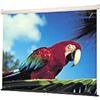 100 Luma Spring-roller Projection Screen