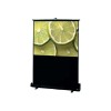 TRAVELLER 46 16:9 HDTV PRTBL PROJ SCR