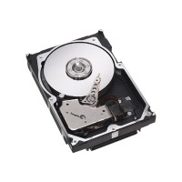 Cheetah 300GB Internal Hard Drive