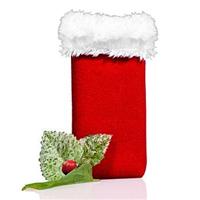 Sportsuit Santa for iPod nano