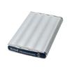 Disk-On-the-Go-Lite USB 2.0 Ultra Slim - Hard drive - 100 GB by Buslink Media
