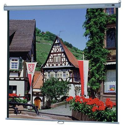 Da-Lite Model B projection screen