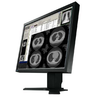 EIZO FlexScan S2100