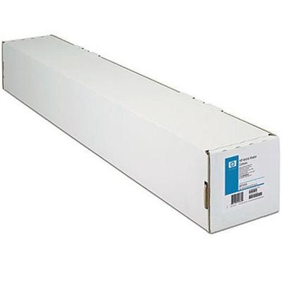 Collector Satin Canvas - satin canvas paper - 1 roll(s)