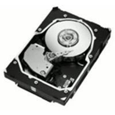 Cheetah 15K.5 - hard drive - 300 GB - Ultra320 SCSI