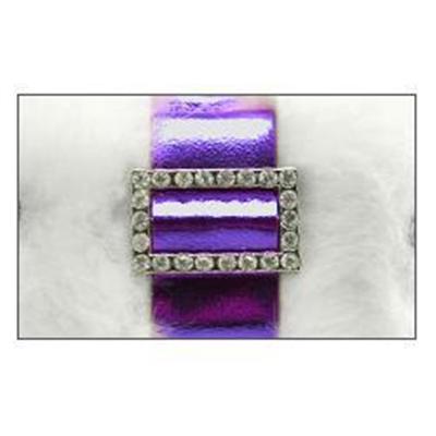 PRIE jewel for iPod nano