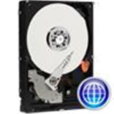 WD Caviar Blue WD3200AAJS - hard drive - 320 GB - SATA-300