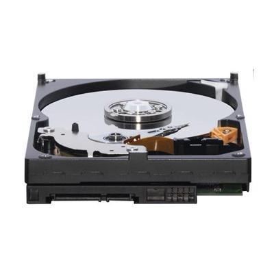 WD Caviar Blue WD3200AAKS - hard drive - 320 GB - SATA-300