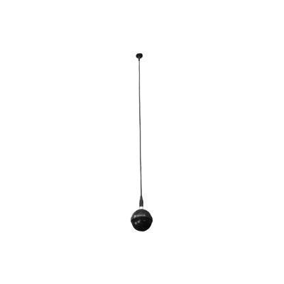 Item Picture