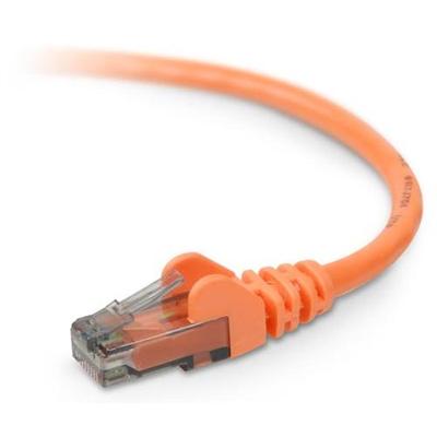 Belkin A3L980 20 ORG S High Performance Patch cable RJ 45 M to RJ 45 M 20 ft UTP CAT 6 molded snagless orange for Omniview SMB 1x16 SMB 1x