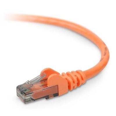 Belkin A3L980 25 ORG S High Performance Patch cable RJ 45 M to RJ 45 M 25 ft UTP CAT 6 orange for Omniview SMB 1x16 SMB 1x8 OmniView SMB CAT