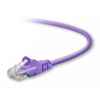 Belkin A3L791 06 PUR S Patch cable RJ 45 M to RJ 45 M 6 ft UTP CAT 5e snagless booted purple for Omniview SMB 1x16 SMB 1x8 OmniView IP 5000