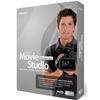 Vegas Movie Studio + DVD Platinum Edition - ( v. 8 ) - complete package - 1 user - DVD