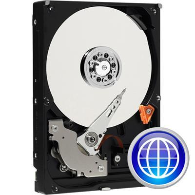 WD Caviar Blue WD3200AAJB - hard drive - 320 GB - ATA-100
