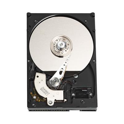 WD Caviar Blue WD3200AAJB - Hard drive - 320 GB - internal - 3.5&quot; - ATA-100 - 7200 rpm - buffer: 8 MB ( pack of 20 )