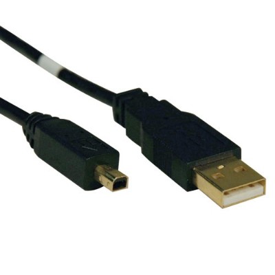Gold USB cable - 6 ft