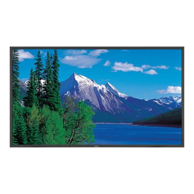 40 Large Screen LCD Monitor with PC Inputs
